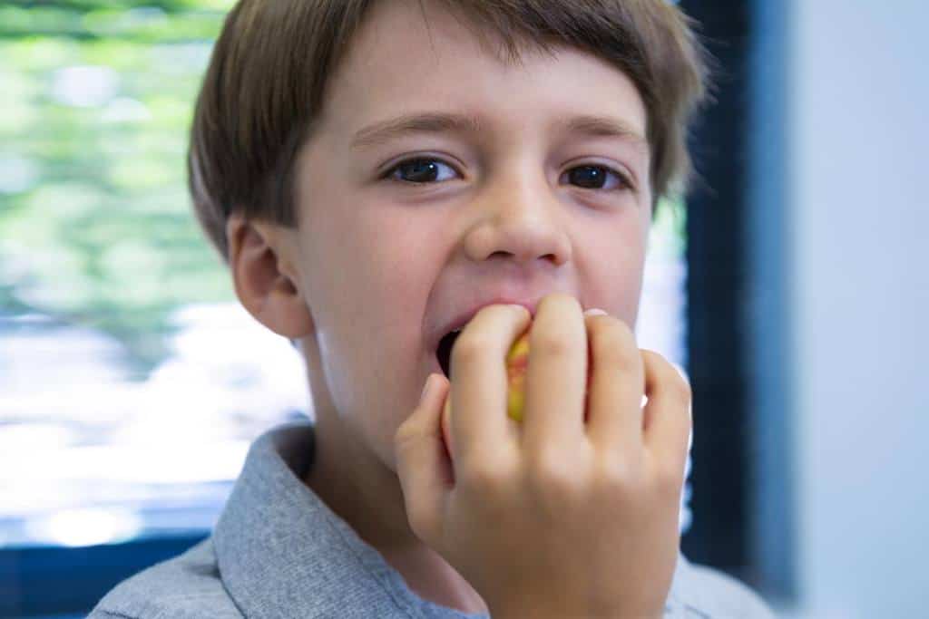 sindrome-de-pica-alotrofagia